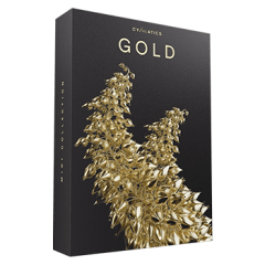 دانلود فایل های میدی هیپ هاپ Cymatics GOLD: MIDI Collection + Bonus Midi Wav