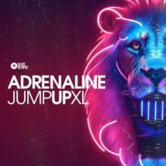 دانلود لوپ و سمپل Black Octopus Sound Adrenaline Jump Up XL WAV Serum