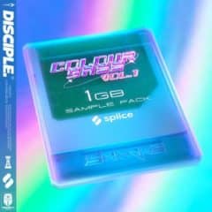 دانلود لوپ و سمپل Disciple Samples Sharks Color Bass Vol.1 WAV