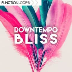دانلود لوپ و سمپل Function Loops Downtempo Bliss WAV