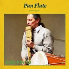دانلود لوپ و سمپل Gio The Pan Flute WAV