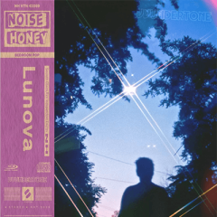 دانلود لوپ و سمپل Noise Honey Lunova by vvundertone WAV