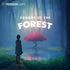 دانلود لوپ و سمپل Producer Loops Sounds of the Forest WAV