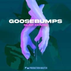 دانلود لوپ و سمپل Production Master Goosebumps Slap House WAV SERUM