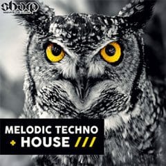 دانلود لوپ و سمپل SHARP Melodic Techno and House WAV MiDi
