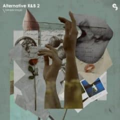دانلود لوپ و سمپل Sample Magic Alternative R&B 2 WAV