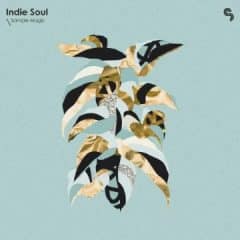 دانلود لوپ و سمپل Sample Magic Indie Soul – WAV Presets