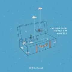 دانلود لوپ و سمپل Splice Cassette Tapes Goodie Bag Vol. 2 Sample Pack WAV MiDi