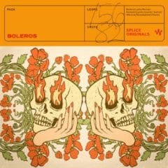 دانلود لوپ و سمپل Splice Originals Boleros WAV
