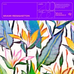 دانلود لوپ و سمپل Splice Originals – Miami Reggaeton WAV