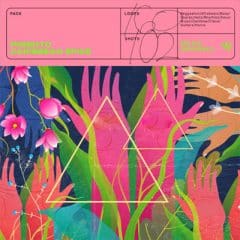 دانلود لوپ و سمپل Splice Originals Pimento Caribbean Spice WAV