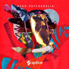 دانلود لوپ و سمپل Splice Sessions Afro Psychedelia WAV