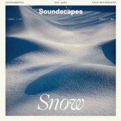 دانلود بانک صدای افکت صوتی Splice Sounds Soundscapes Snow WAV