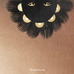 دانلود لوپ و سمپل Splice krs.: Build a Vybz Vol. 3 WAV MIDI