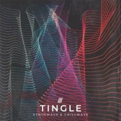 دانلود لوپ و سمپل Zenhiser Tingle Synthwave and Chillwave WAV