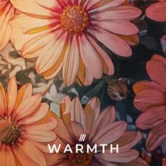 دانلود لوپ و سمپل Zenhiser Warmth WAV