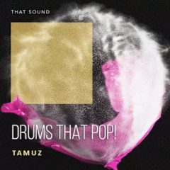 دانلود لوپ و سمپل درام That Sound Drums That Pop WAV