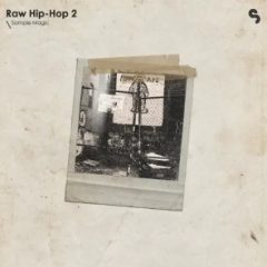دانلود لوپ و سمپل هیپ هاپ Raw Hip-Hop 2 WAV Beatmaker Presets