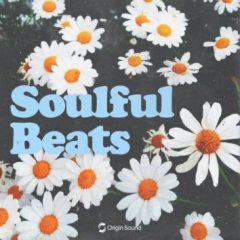 دانلود لوپ و سمپل هیپ هاپ Soulful Beats WAV Beatmaker Presets