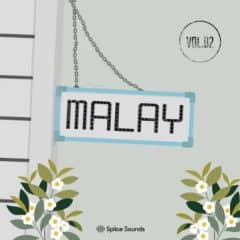 دانلود لوپ و سمپل هیپ هاپ Splice Malay Vol. 2 Sample Pack WAV Astra Beatmaker