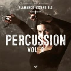 دانلود لوپ و سمپل پرکاشن Gio Flamenco Essentials Percussion Vol. 2 WAV Presets