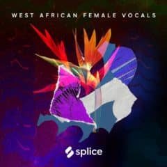دانلود لوپ وکال آفریقایی Splice Sessions West African Female Vocals WAV