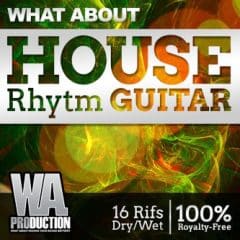 دانلود لوپ گیتار آکوستیک WA Production House Rhytm Guitar