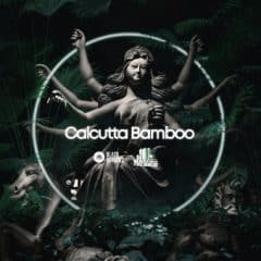دانلود لوپ و سمپل Black Octopus Basement Freaks Presents Calcutta Bamboo WAV