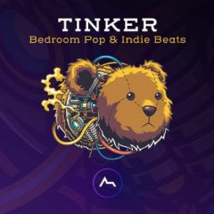 دانلود پکیج لوپ و سمپل ADSR Sounds Tinker Bedroom Pop & Indie Beats WAV Presets
