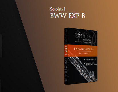 دانلود وی اس تی Orchestral Tools Berlin Woodwinds EXP B v2.1