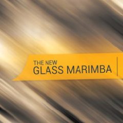 دانلود وی اس تی ماریمبا شیشه ای ۸Dio The New Glass Marimba KONTAKT