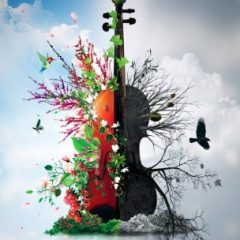 دانلود وی اس تی ویولن ۸dio Solo Violin Designer 2.0 KONTAKT