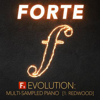 دانلود وی اس تی پیانو F9 Audio F9 Forte Evolution: Redwood Club Piano