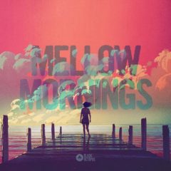 دانلود پک لوپ و سمپل لو فای  Black Octopus Sound Mellow Mornings WAV, MiDi