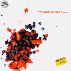 دانلود پکیج درام کیت هیپ هاپ Treesound Mike Hector Mixed Berries (Drum Kit) WAV