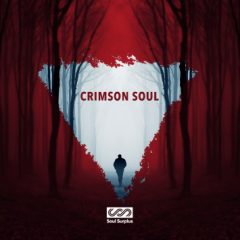 دانلود پکیج لوپ Soul Surplus Crimson Soul WAV