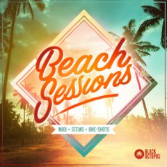 دانلود پکیج لوپ و سمپل Black Octopus Sound Beach Sessions WAV