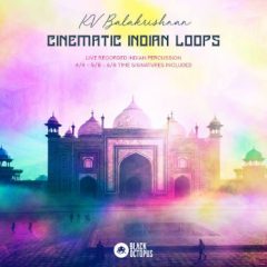 دانلود پکیج لوپ و سمپل Black Octopus Sound Cinematic Indian Loops WAV