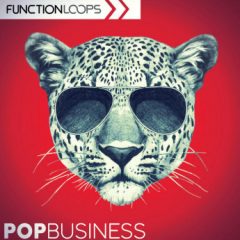دانلود پکیج لوپ و سمپل Function Loops Pop Business WAV MiDi PRESETS