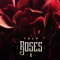 دانلود پکیج لوپ و سمپل ترپ Diginoiz Trap Roses 2 WAV