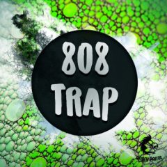 دانلود پکیج لوپ و سمپل ترپ WA Production 808 Trap Angry Parrot WAV MIDI PRESETS