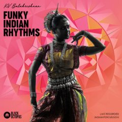 دانلود پکیج لوپ و سمپل پرکاشن Black Octopus Sound Funky Indian Rhythms WAV