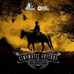 دانلود پکیج لوپ و سمپل گیتار Black Octopus Sound Cinematic Guitars WAV