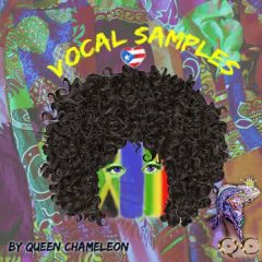 دانلود پکیج لوپ و کال محلی Queen Chameleon Voices Of The Islands WAV