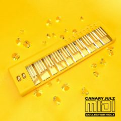 دانلود پکیج فایل های میدی Canary Julz MIDI Collection (Volume 1) WAV, MiDi, Presets