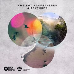دانلود پکیج لوپ Black Octopus Sound Ambient Atmospheres And Textures WAV