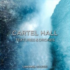 دانلود پکیج لوپ Laniakea Sounds Cartel Hall Textures And Drones WAV