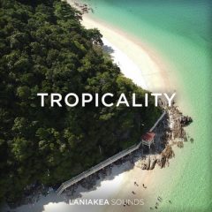 دانلود پکیج لوپ Laniakea Sounds Tropicality – WAV
