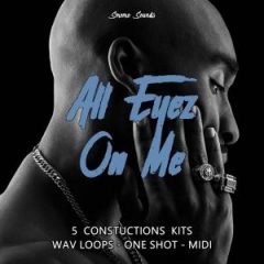 دانلود پکیج لوپ Smemo Sounds ALL EYEZ ON ME WAV MiDi