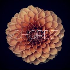 دانلود پکیج لوپ Unmute Chordz Kits and Serum Presets WAV MIDI FXP